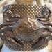 Caramel Crab Basket cuff, for Chesapeake lover, deadliest catch fan, OOAK hand patinaed cuff & highly detailed vintage crab by SeaSeaRider