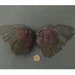 Pair Purple Dove Fanned Out Dried Pigeon Birds Wings Feathers Art Craft Taxidermy