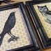Victorian Style Owl & Crow Framed Prints