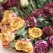 Set of 57 Natural Color - Roses for Luck, Love, Romance and all other Matters of the Heart