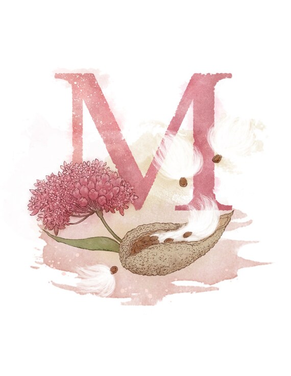 Letter M, Milkweed, Nature Theme Alphabet Art Decor 8.5 x 11