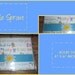 Little Sprout 4" x 6" Photo Album - holds 24