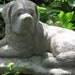 st bernard dog statue