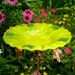 IRISH Garden Bird Bath, stained glass, green, shamrocks, yellow, copper, St. Patrick, 7 in. diameter