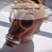 Gas Mask RESERVED FOR SARAH : Vintage 1970s Russian Gas Mask
