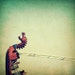 Carnival photo, grayed jade, Rehoboth Beach, Dragon, minimalist carnival, mint, copper, sky, sun, brown - Sea Dragon 5x5 art photograph