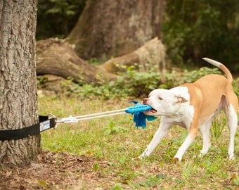 Super Tug - Strong Dog Toy - Safe Alternative to Spring Pole or Rope