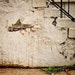 Darwin-like fish street art in Queens NY