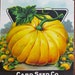 fruits of the harvest- colorful pumpkin-vintage seed packets 1940s