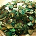Abalone Finish Flat Stones ( Turquoise)