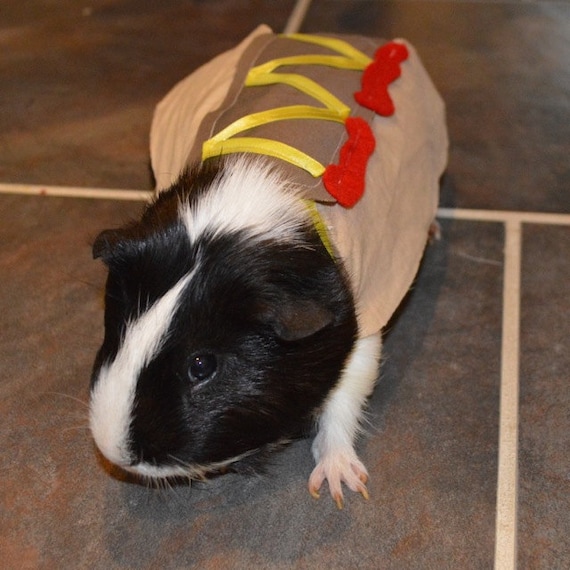 Guinea pig hotdog. Pet Halloween costumes by la by laMarmotaCafe