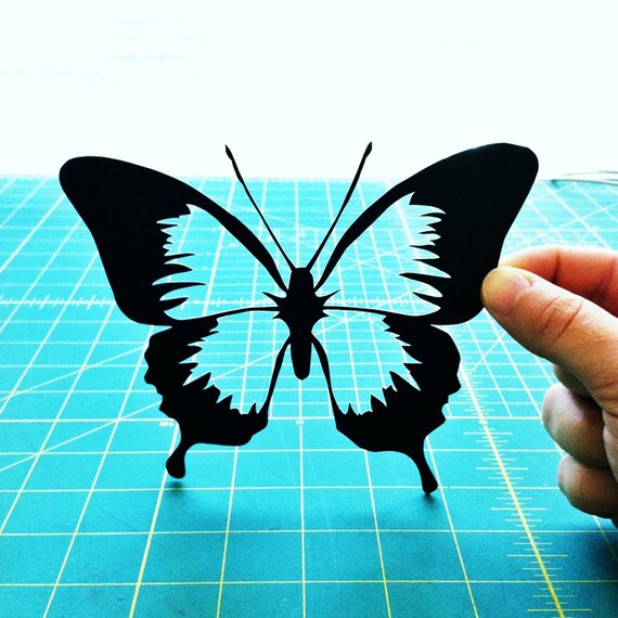 Items similar to Butterfly 8x10 Paper Cutting on Etsy