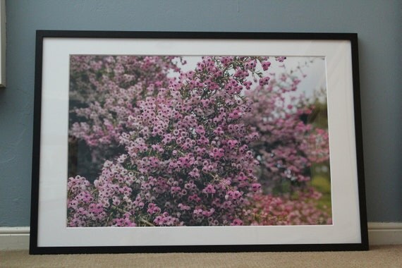 Christmas Heather--signed matted framed 20x30 photo