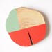 Coral & Aqua Brooch - Twig Geometry