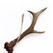 Hair Stick Fork Deer Antler Carving Hairpin Eco friendly Bone Carving Boho Tribal Natural Hair Accessory Handmade by MariyaArts