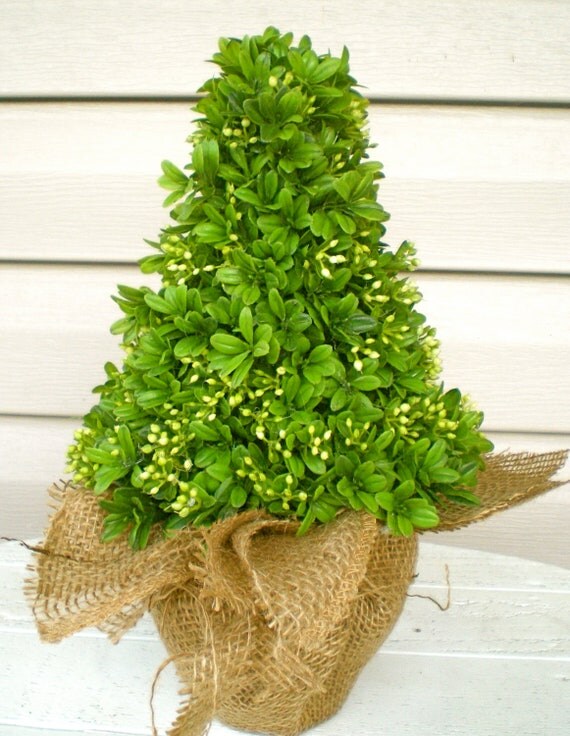 Mini Burlap Wrapped Christmas Tree