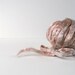 1 oz ( 28 g) Mulberry Silk Top Roving NACRE Mother of Pearl - Hand dyed