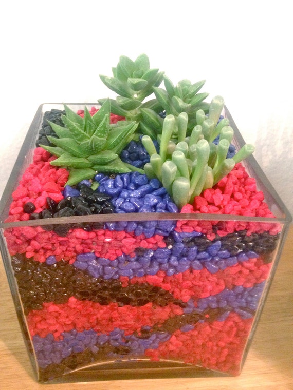 Items similar to Another World Layered Pebble Succulent Centerpiece on Etsy