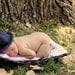 Baby Fedora Hat
