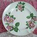 Vintage Royal Chelsea Rose Plate English Bone China