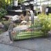Vintage Wire Gathering Basket Metal Garden Basket