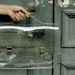 Transparent Ghost Bag No2