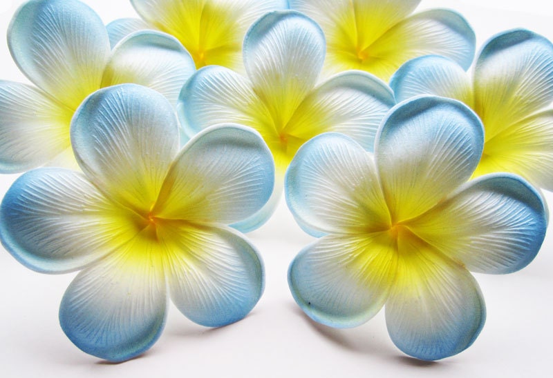 Blue Frangipani