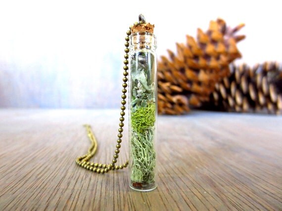 I Cannot Live Without You...Tiny Live Terrarium Pendant Lichen Moss Magic Little Terrarium Necklace