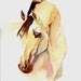 Buckskin Horse Original Watercolor
