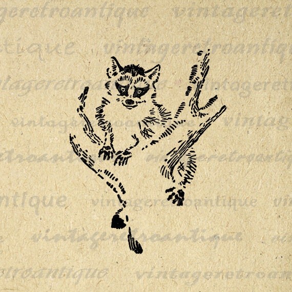 Cute Raccoon Digital Graphic Download by VintageRetroAntique