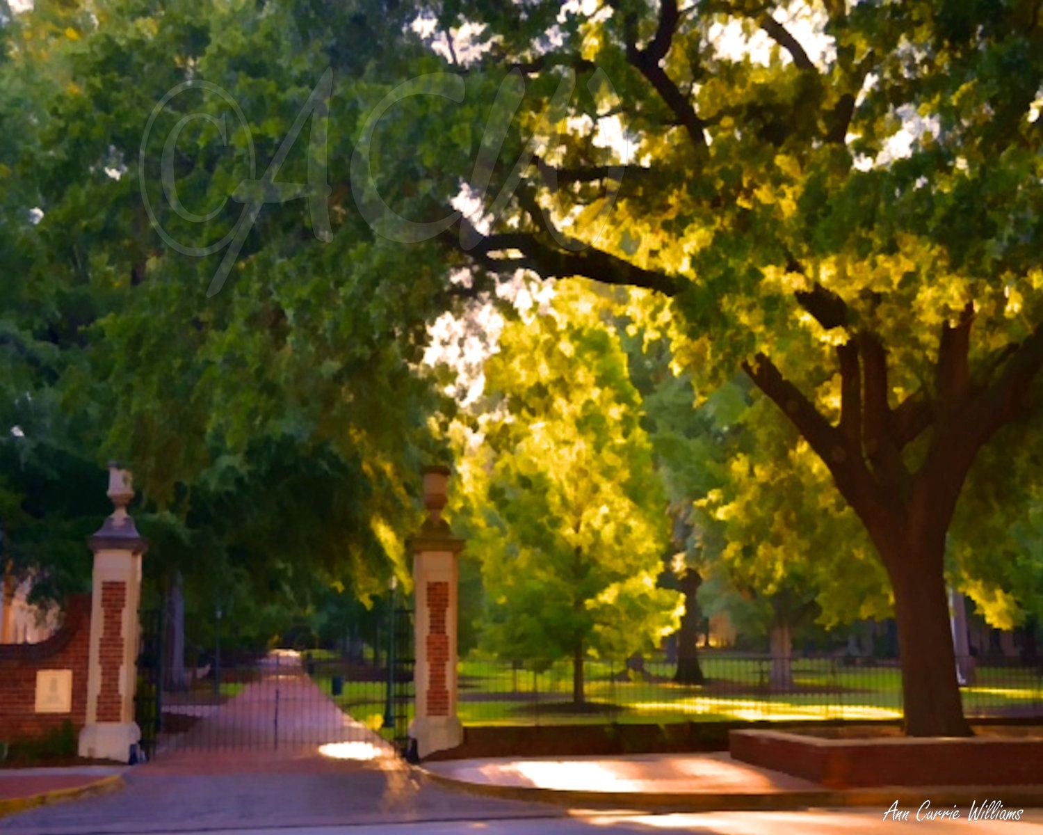 University of South Carolina's historic Horseshoe in