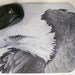 Eagle Drawing Mouse Pad
