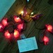 Vintage Cardinal Bird Decorative Light String, use for your RV/Patio/Yard/Garden/Tree