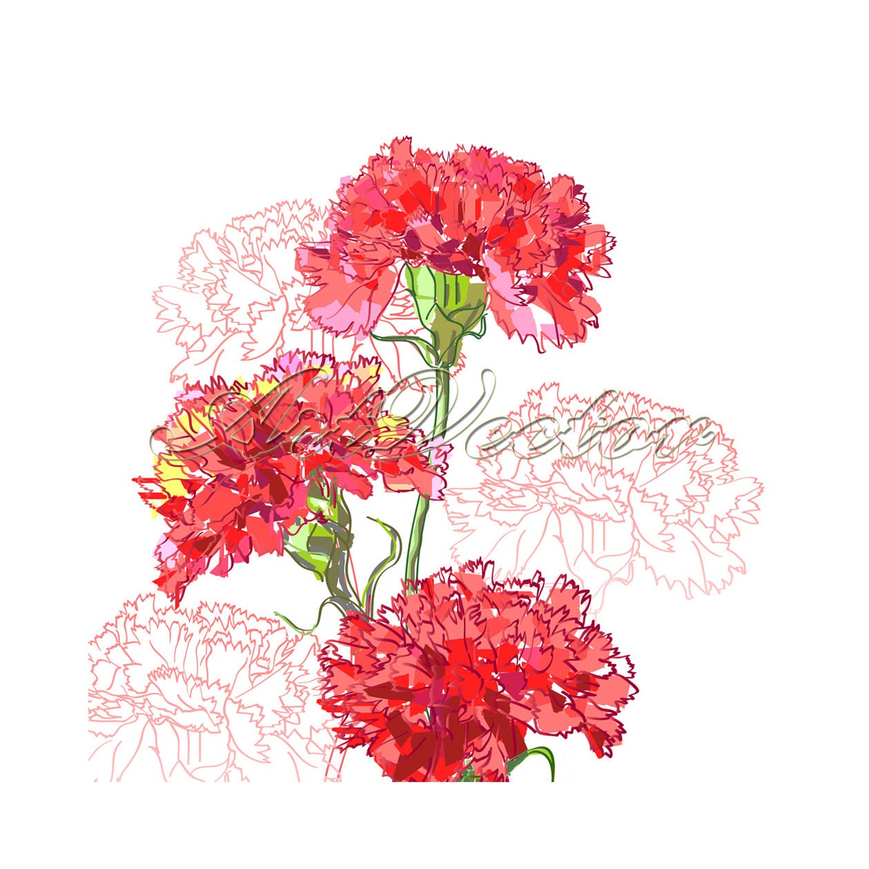 clip art carnation flower - photo #2