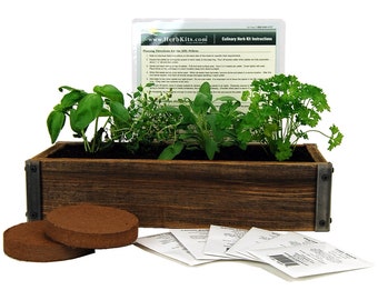 Reclaimed Barnwood Planter & Culinary Herb Garden Kit - Grow Basil, Dill, Cilantro, More