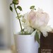24 Wedding ceremony aisle flower vases, flower pot, white wedding aisle decoration Doeys church pew clip - pew marker, flower vase, pew cone