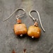 Peach Moon Stone and Fossil Coral Earrings