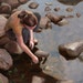Glimmer at the Water's Edge - 8x10 Print of original oil painting