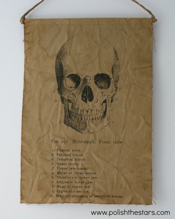 Mad Scientist Canvas Skull Print