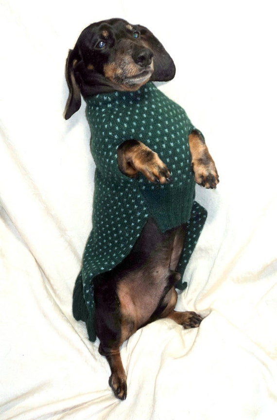miniature dachshund clothes