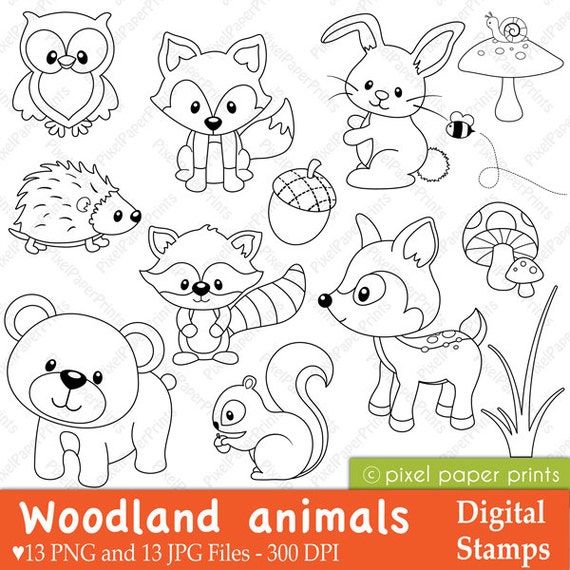 Woodland Animals Digital stamps Clipart Etsy