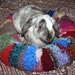 Ugli Donut bunny bed for a small to medium sized rabbit with alpaca ombre colours hand knit