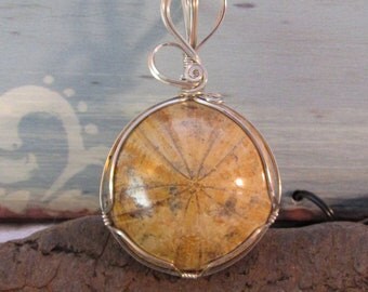 Fossilized Sand Dollar Polished Wire Wrapped Pendant, Sterling Silver
