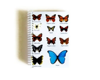 Butterflies A6 Spiral Paper Notebook, Spiral Bound Writing Journal Natural History Back to School Blank Pocket Notebook, Gifts Under 15