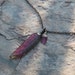 RESERVED- WATERMELON TOURMALINE necklace, Carved Watermelon Tourmaline pendant, sterling silver