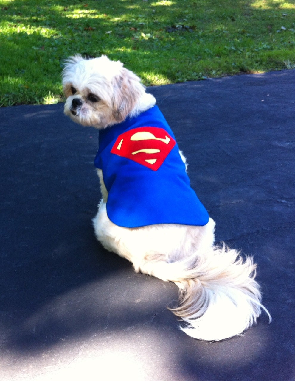 Superman Dog Coat or Costume Size XSmall
