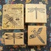 DRAGONFLIES Rubber Stamps Lot of 4 Wood Mounted