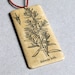 Botanical necklace - Salsola kali