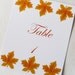 RESERVED - Fall Autumn Leaves TABLE NUMBERS for Weddings