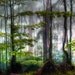 Landscape, Abstract Art, Modern Art, Art Print, Home Wall Decor, Archival Fine Art Print, Trees, Home Decor, Gift, Giclee,
